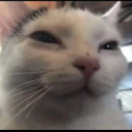 Liuannzk
