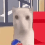 pretindopneu66