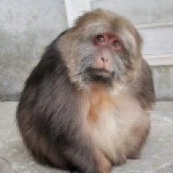 BankaidoKyoraku